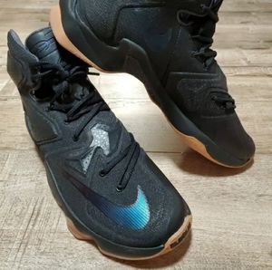 Nike Lebron 13 XIII Black Lion Basketball Shoes